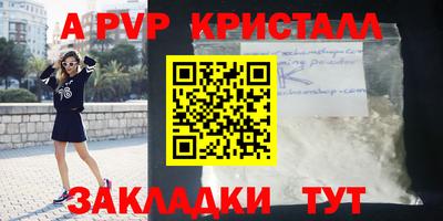 герыч Кингисепп