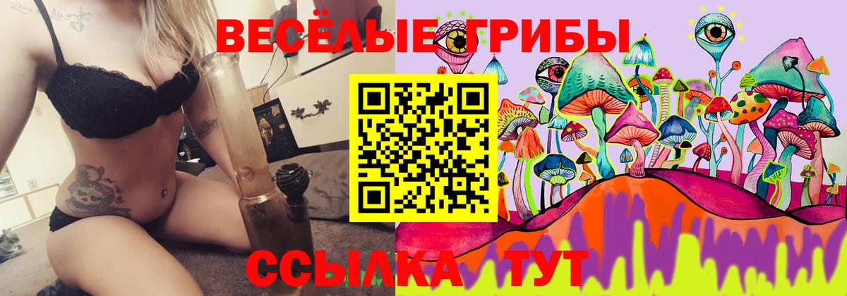 Псилоцибиновые грибы мицелий  Вход с VPN  Отрадный 